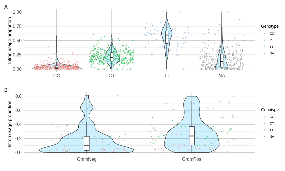 A differential splicing event in the TDRD9 gene